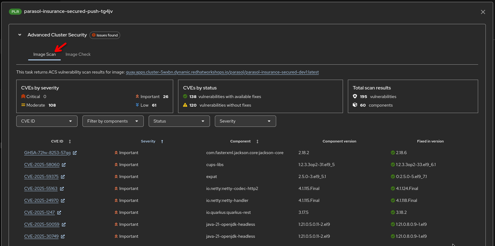 ACS scan report showing detailed vulnerability data