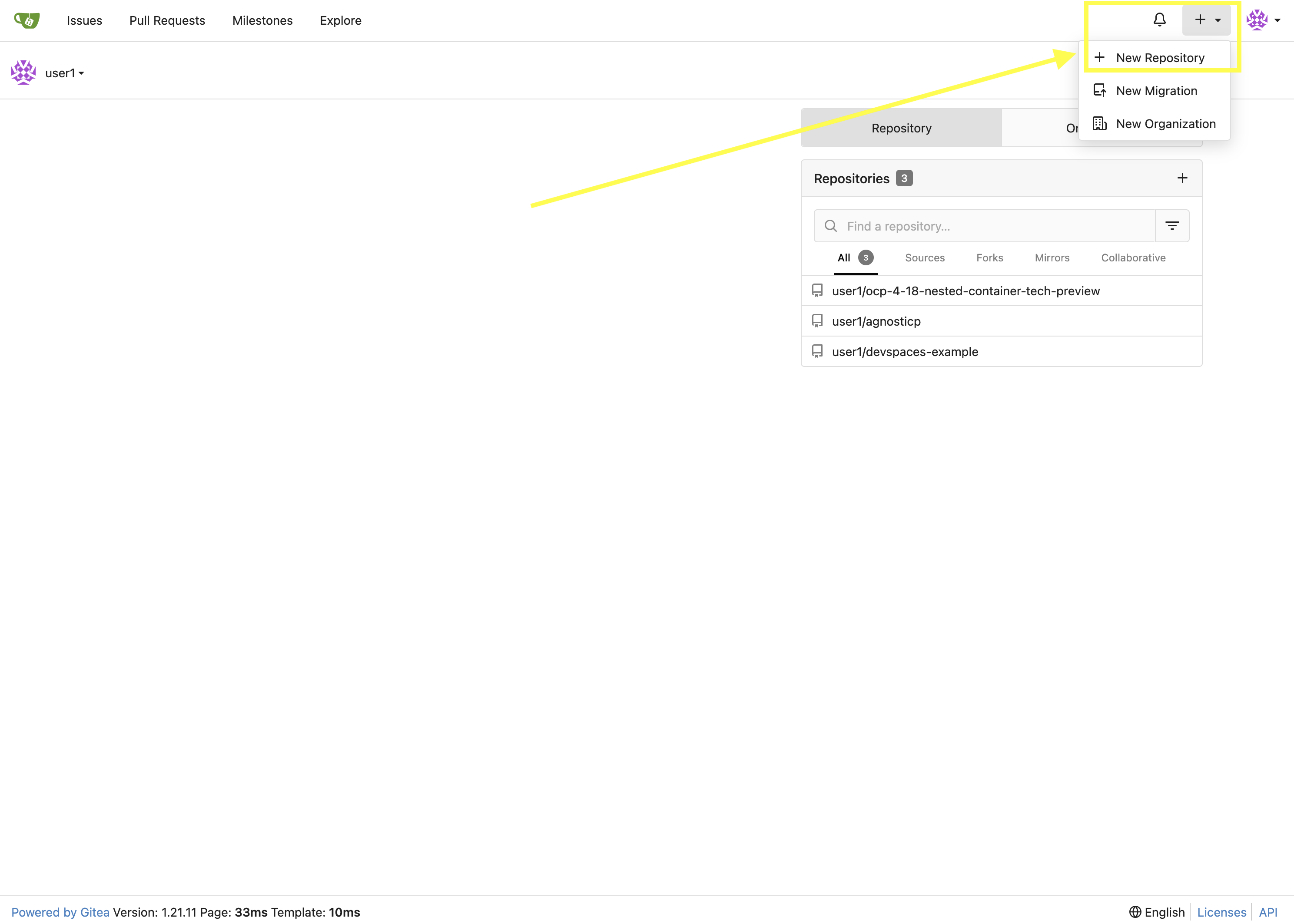 Navigate to new Gitea Repository