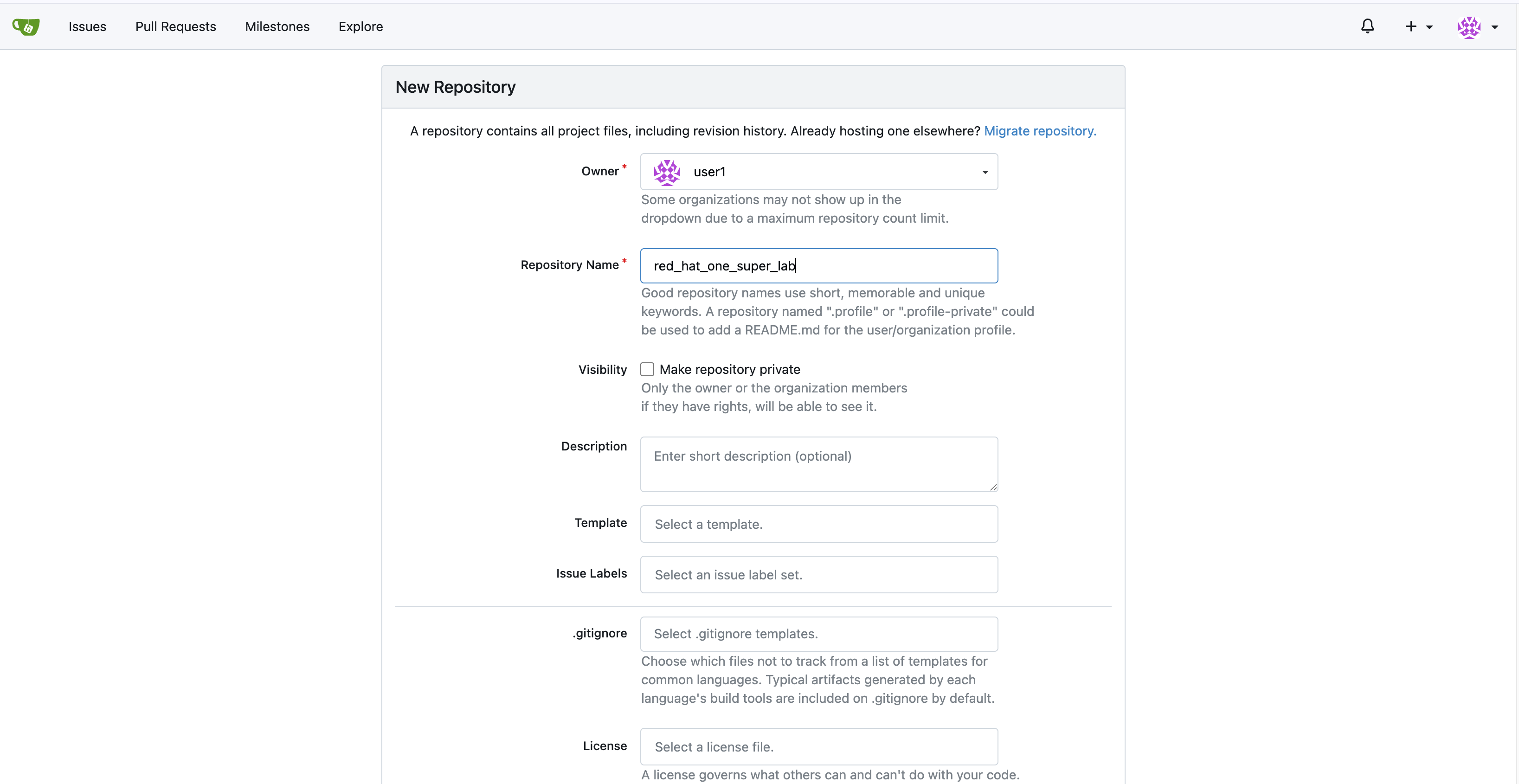 Gitea New Repository