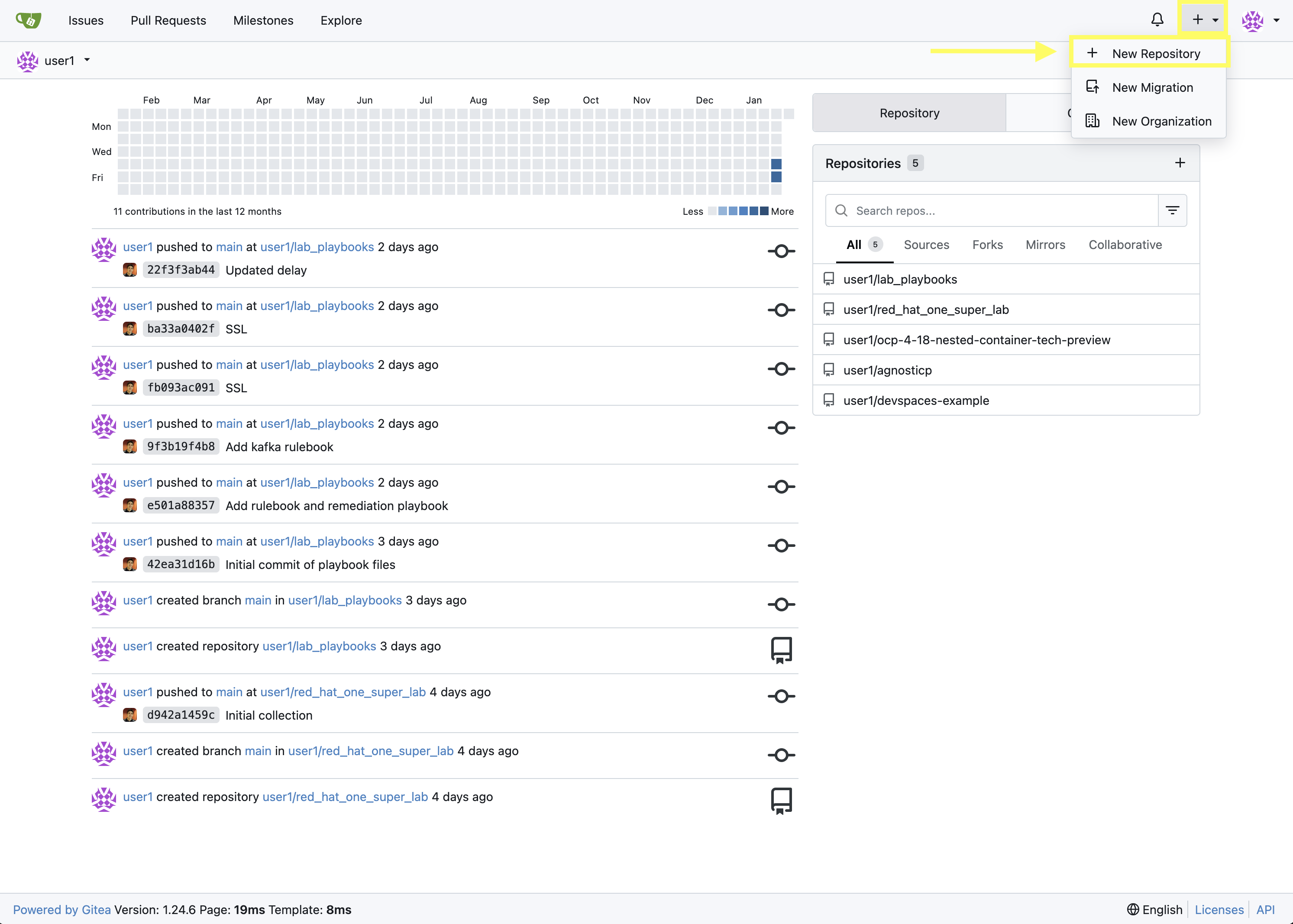 Select New Gitea Repository