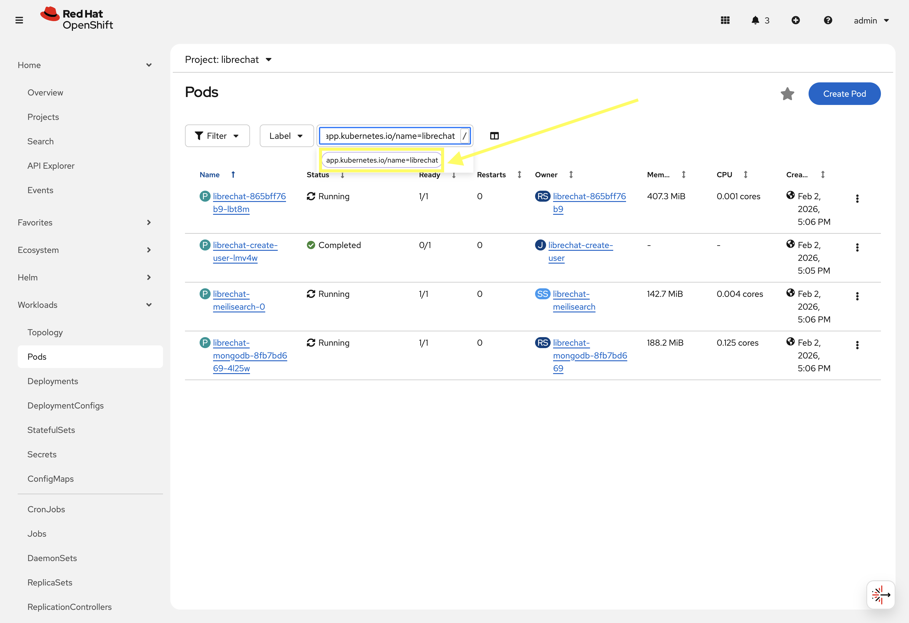 Filter the librechat Pods by Label