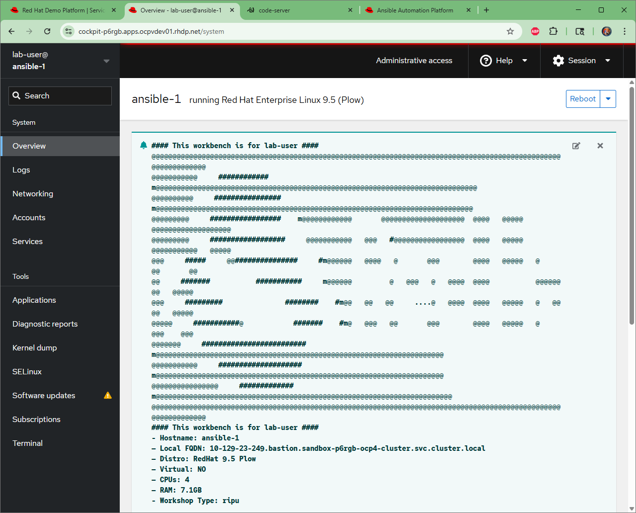 Example RHEL Web Console