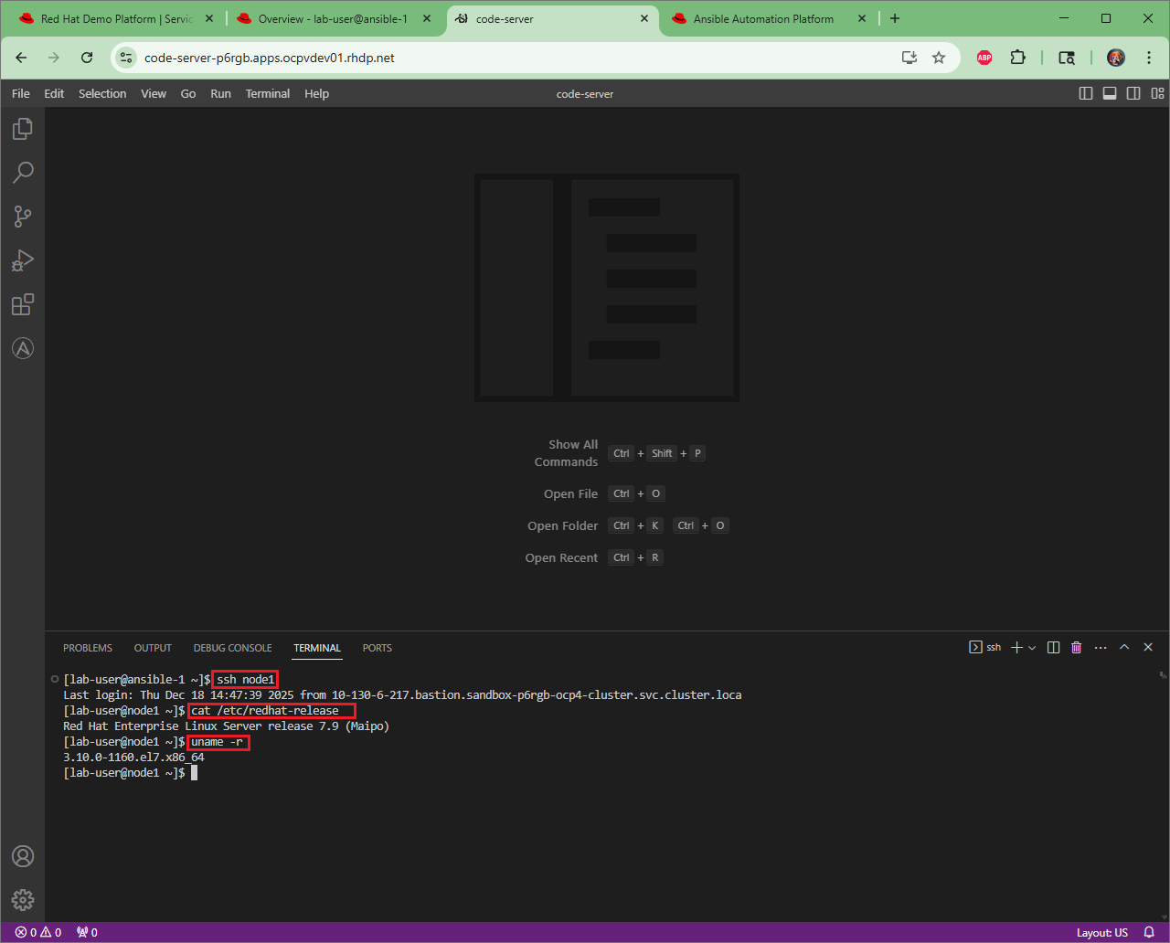 Example ssh login to pet app host