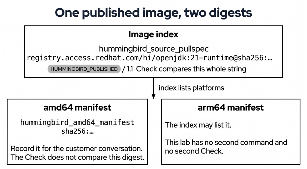 Image index pull spec, which the Check compares, and the amd64 manifest digest listed inside that index