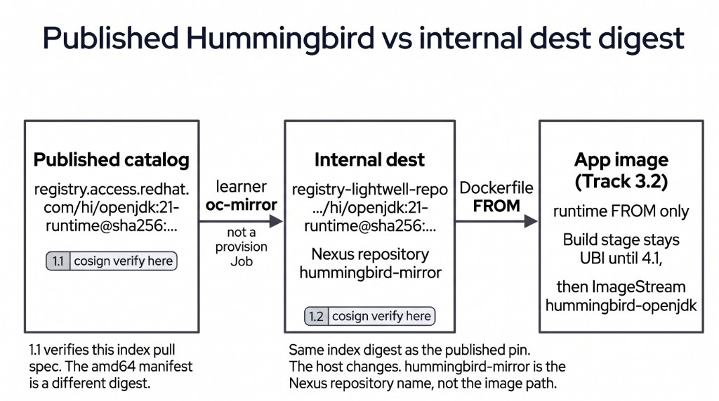 Published Hummingbird versus the dest digest that the Dockerfile runtime FROM uses on this page