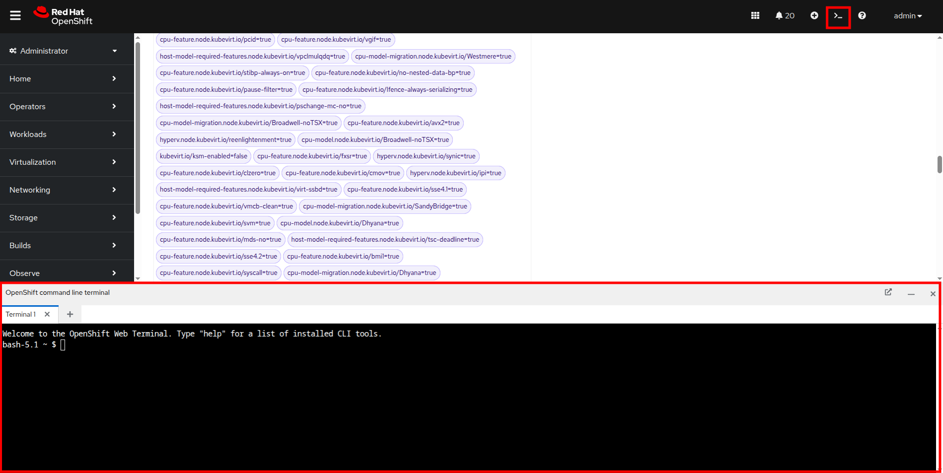 56 openshift web terminal