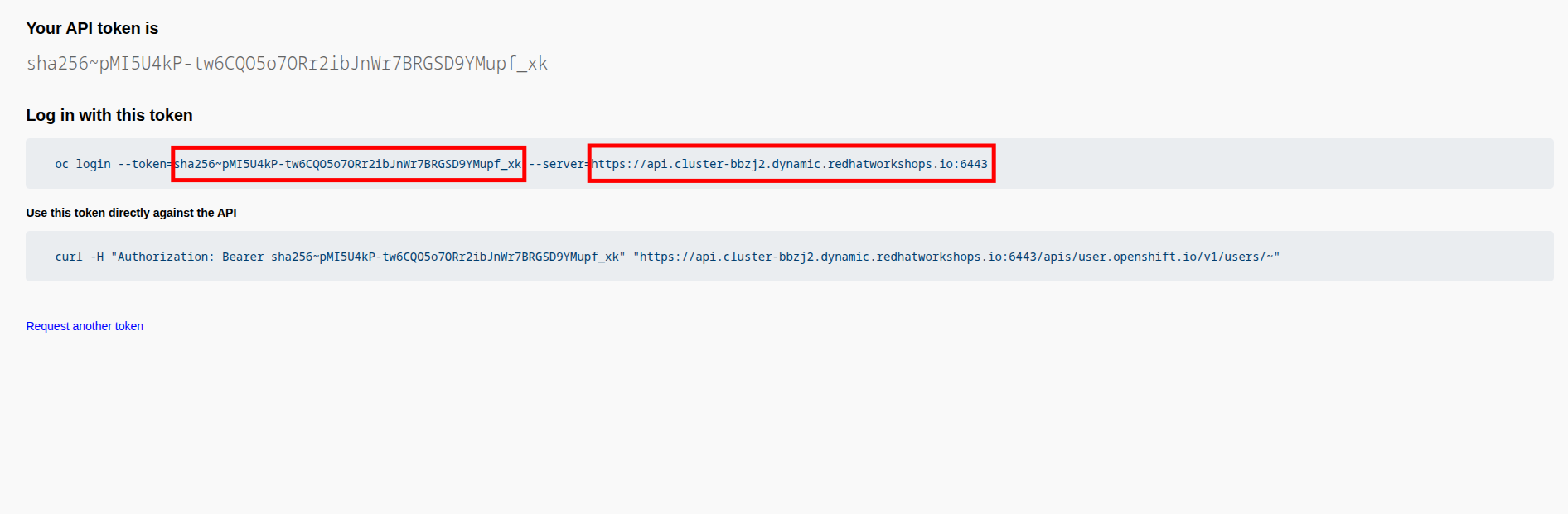 05 display api token server url