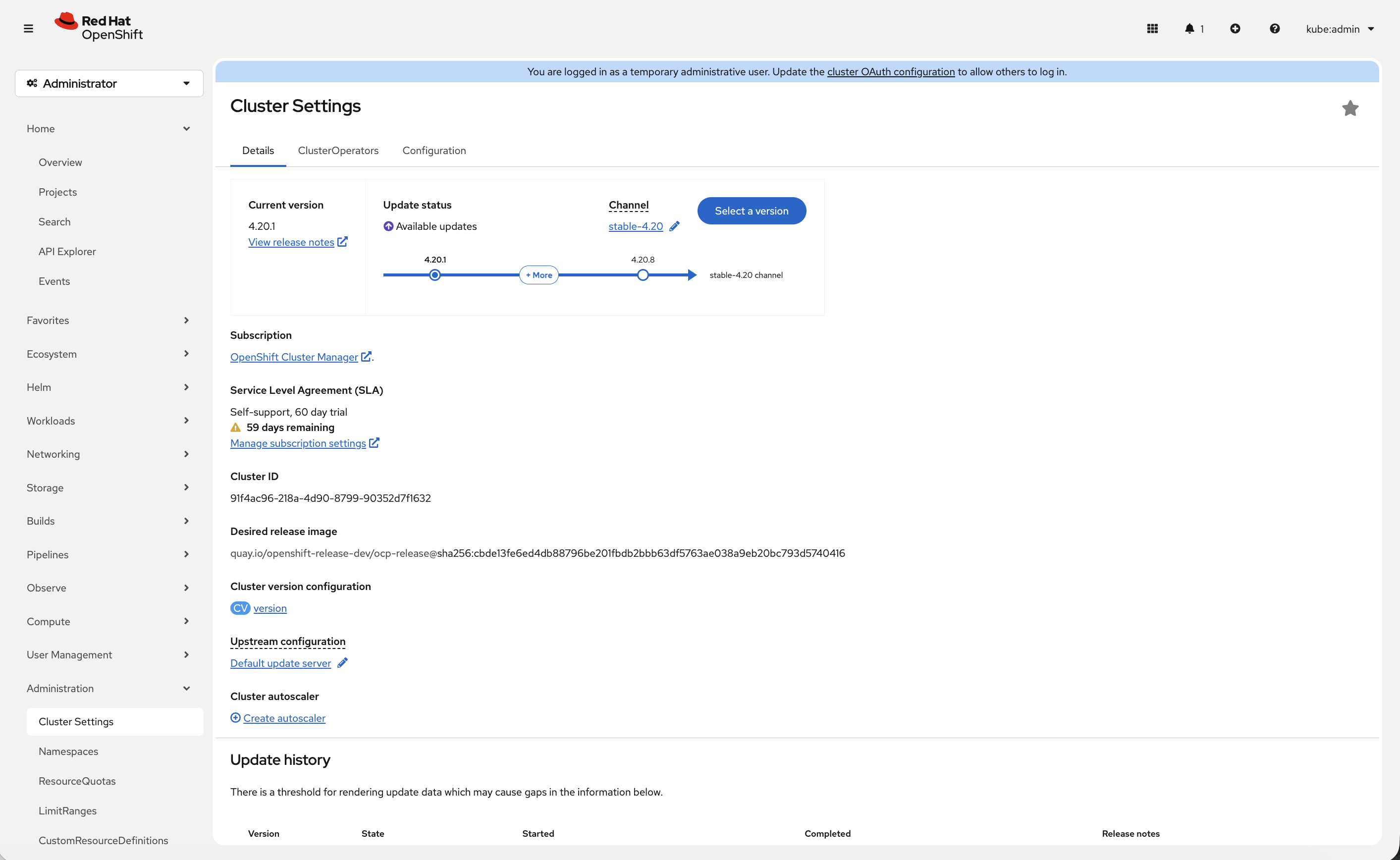 Cluster Settings Details Tab