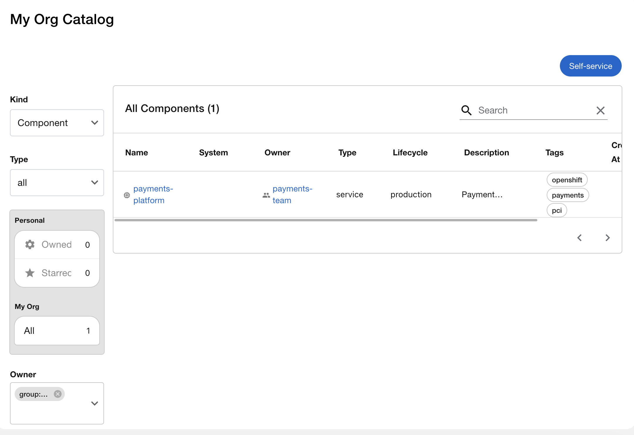 Catalog filtered by payments-team showing PCI-tagged service