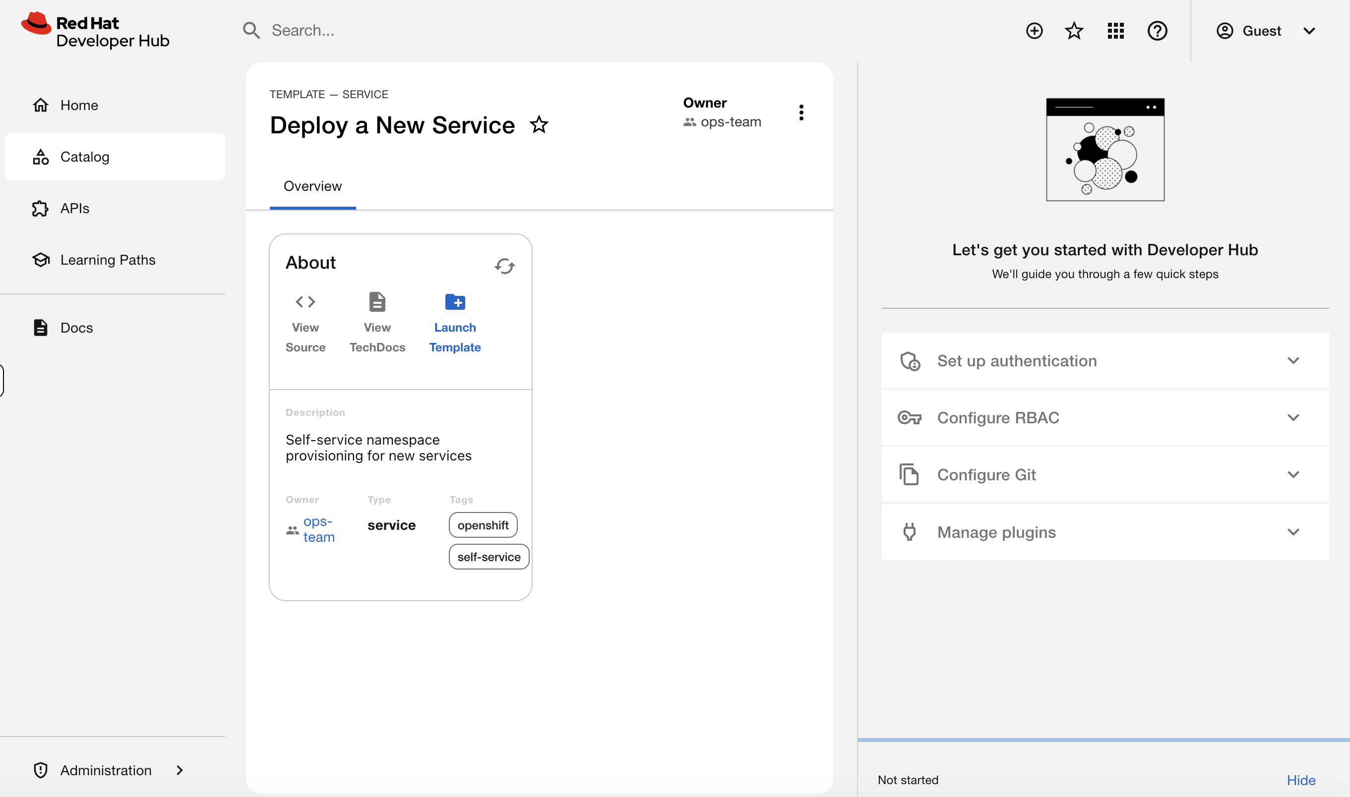 Template overview page with Launch Template button