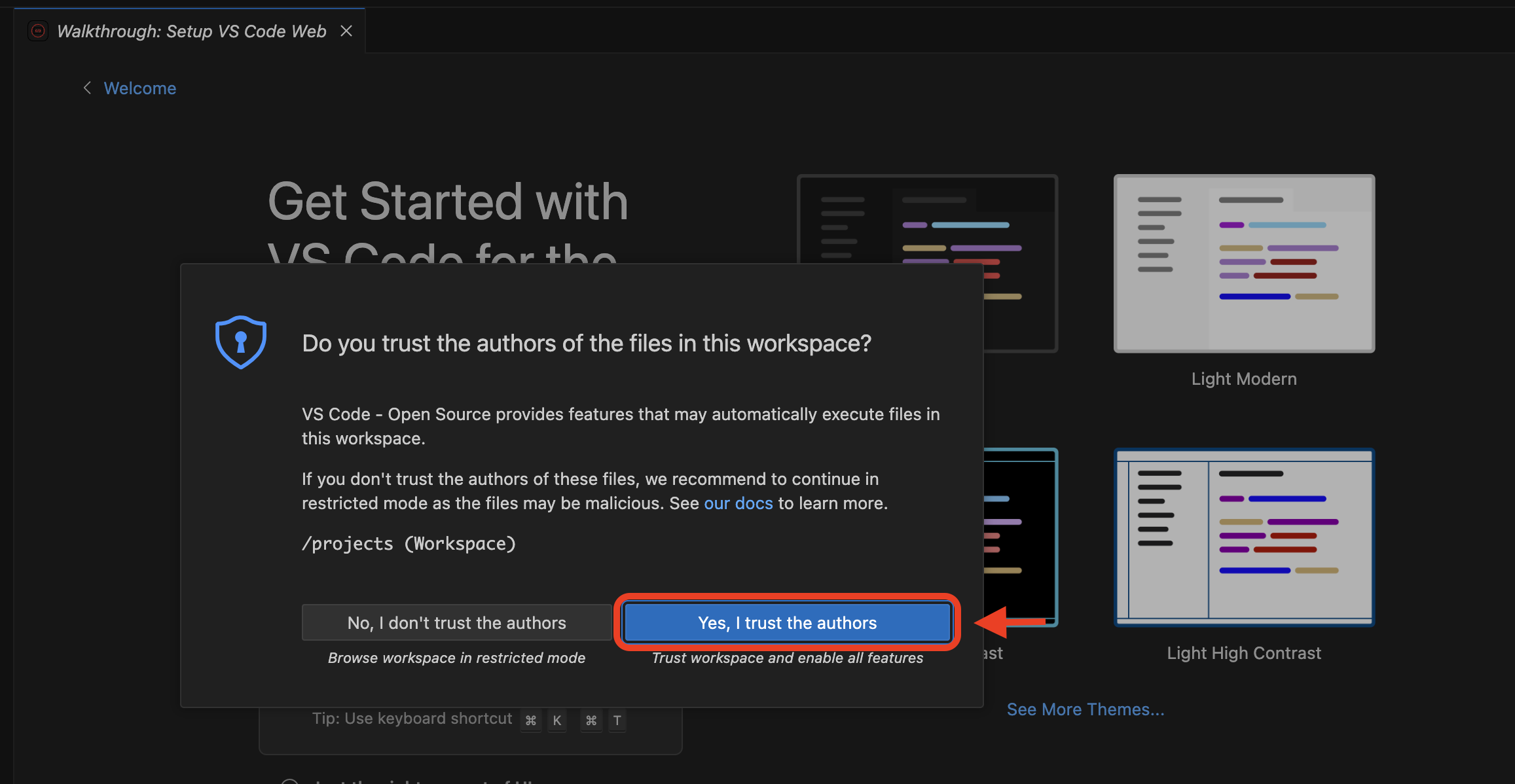 trust vscode