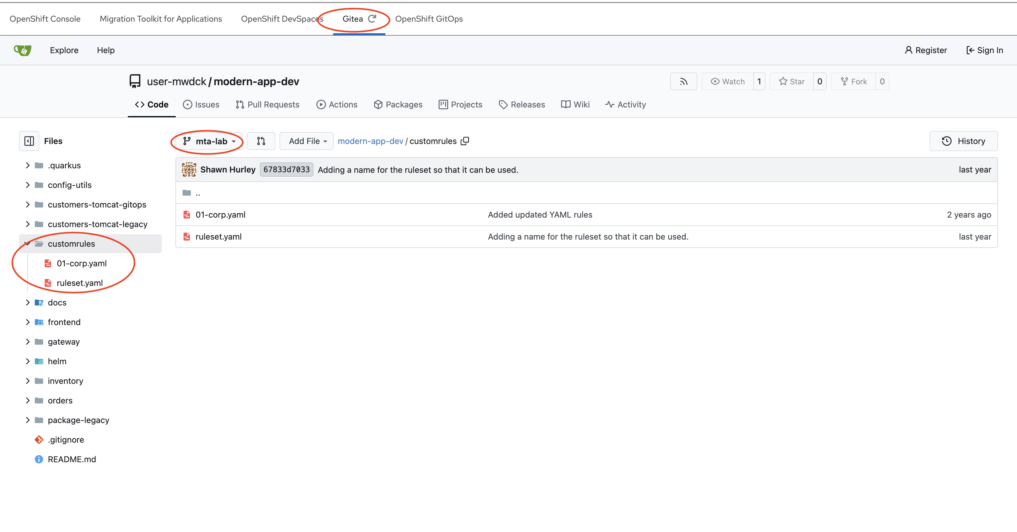 git repo modernize ruleset app dev