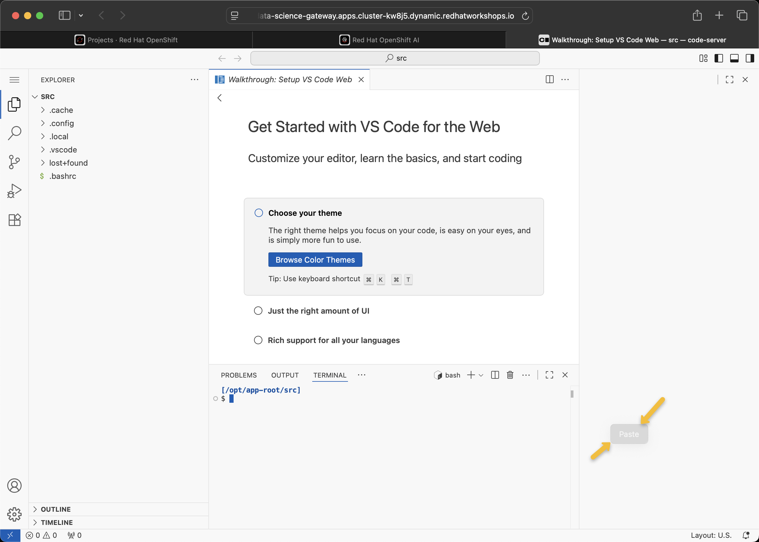 RHOAI console 15 Safari paste