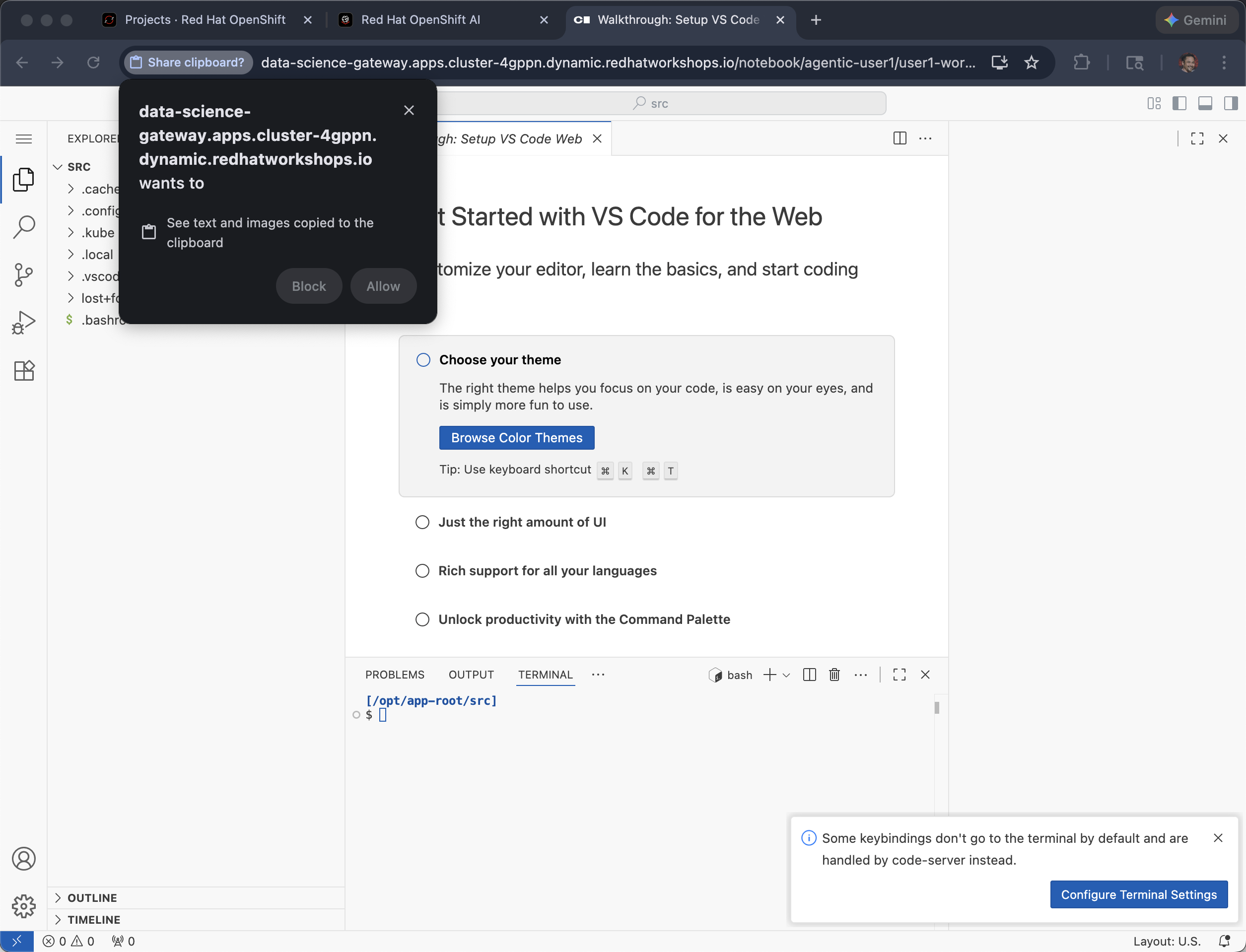 RHOAI console copy paste chrome