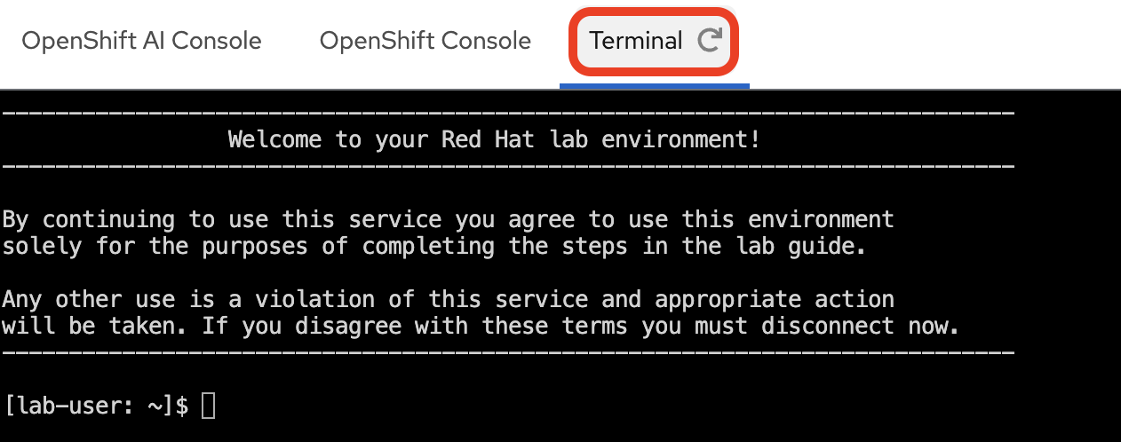 The standalone Terminal tab in the workshop guide