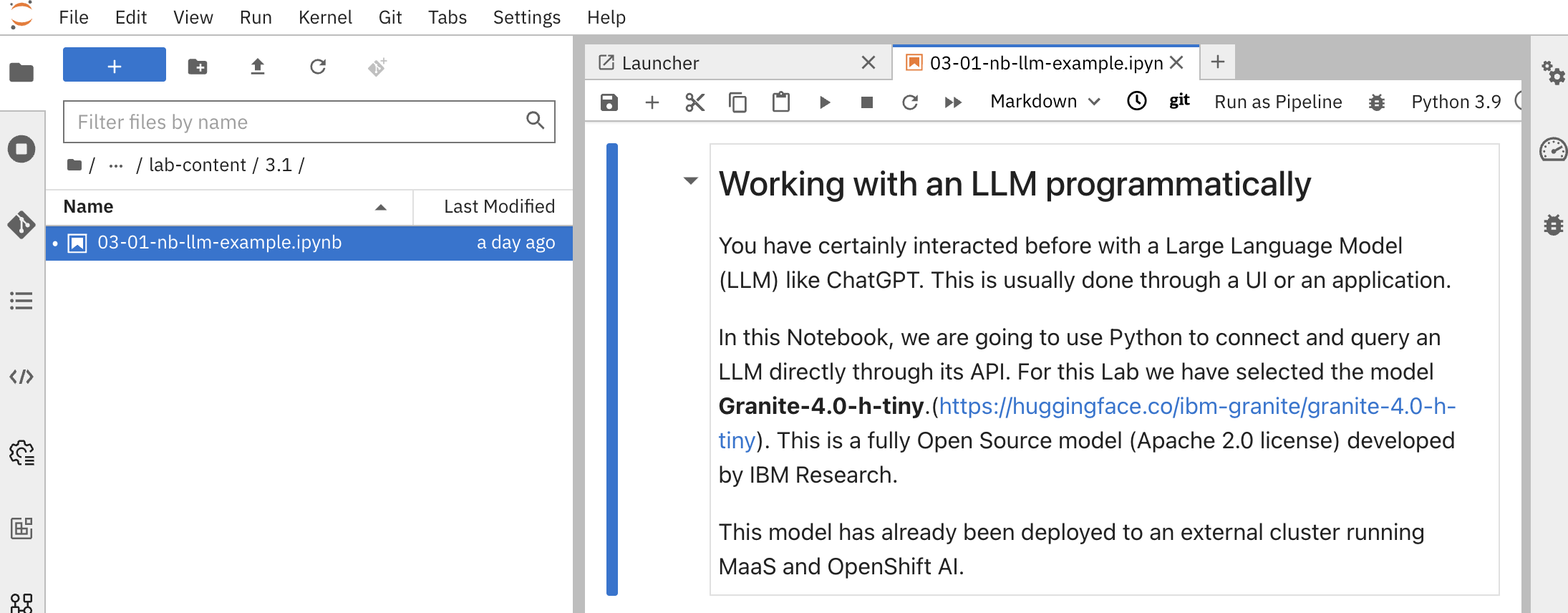 Opening the LLM example notebook in JupyterLab