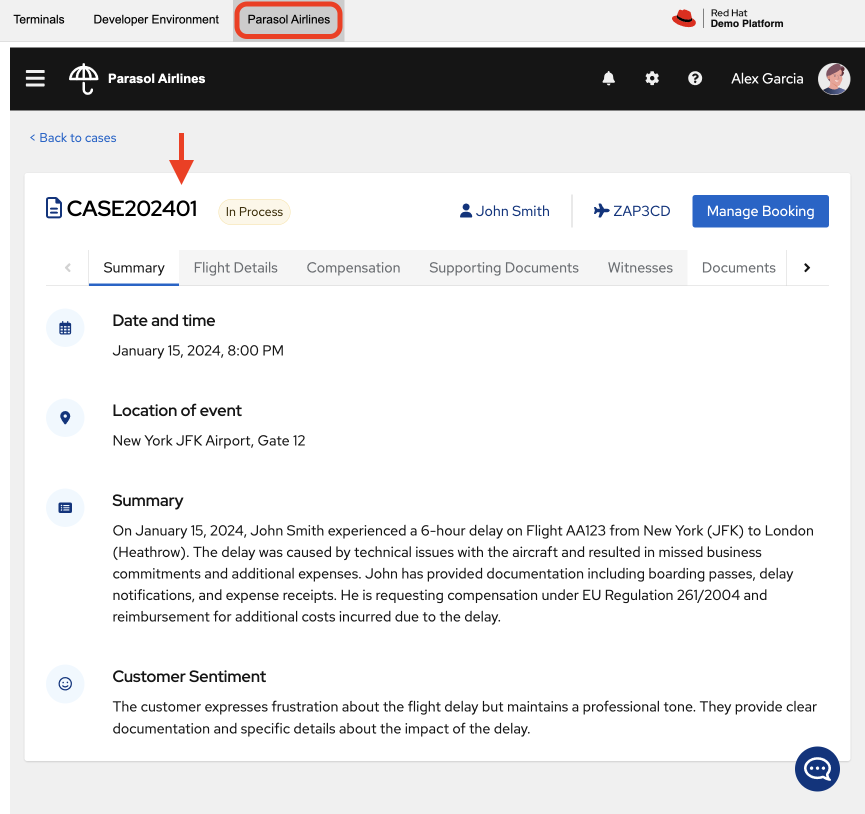 Parasol Airlines Case Page