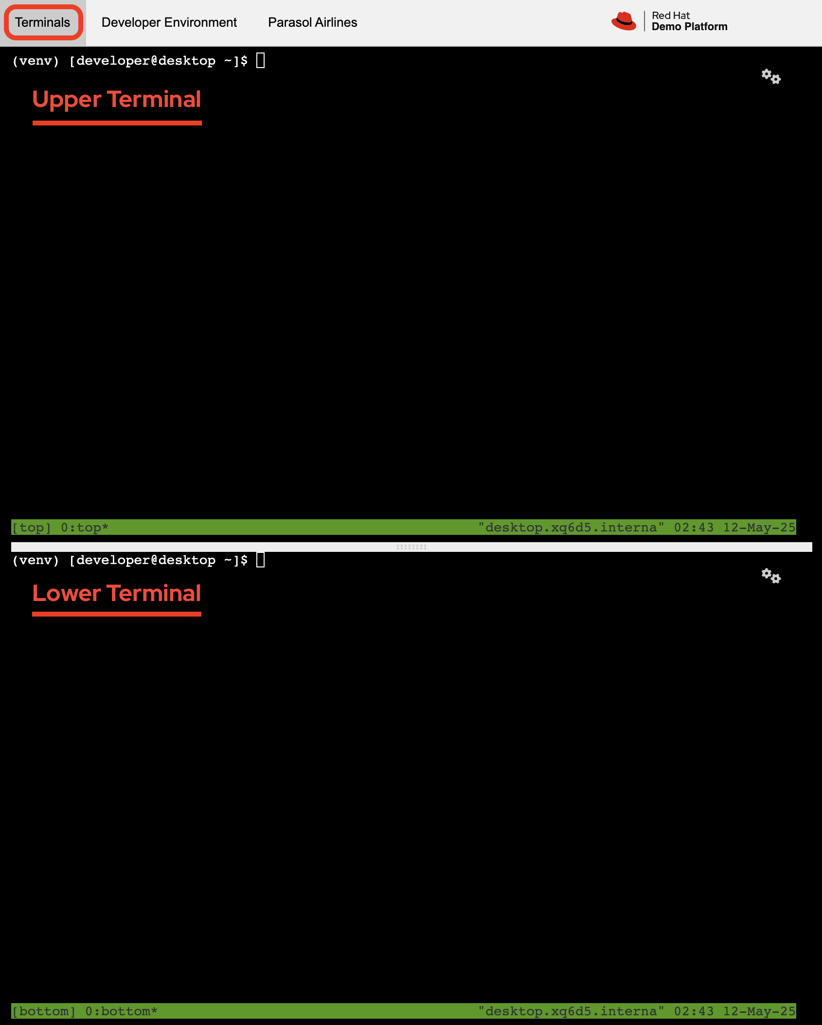 Terminal Dashboard