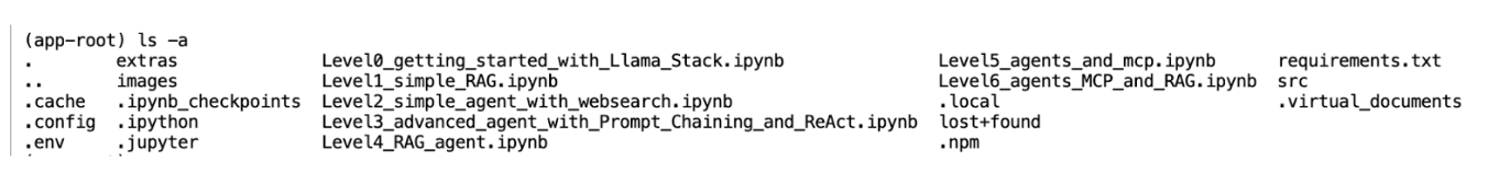 List files under worbench directory