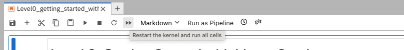 Run Notebook