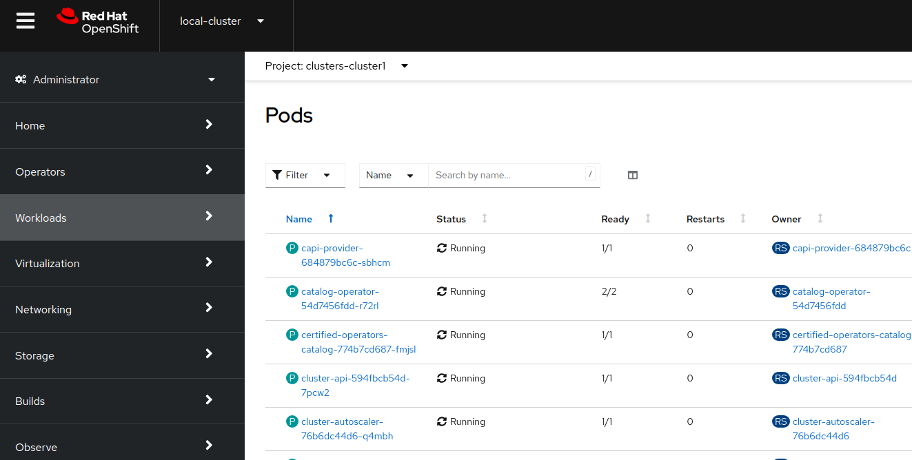 02 ACM CP pods list