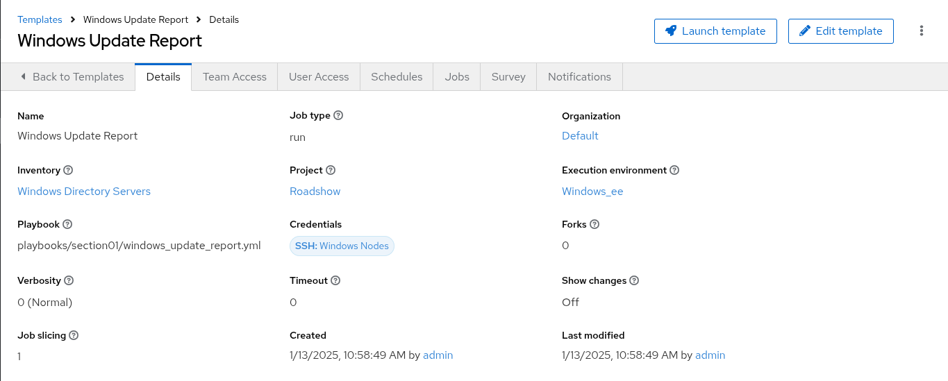 Windows Update Report template details