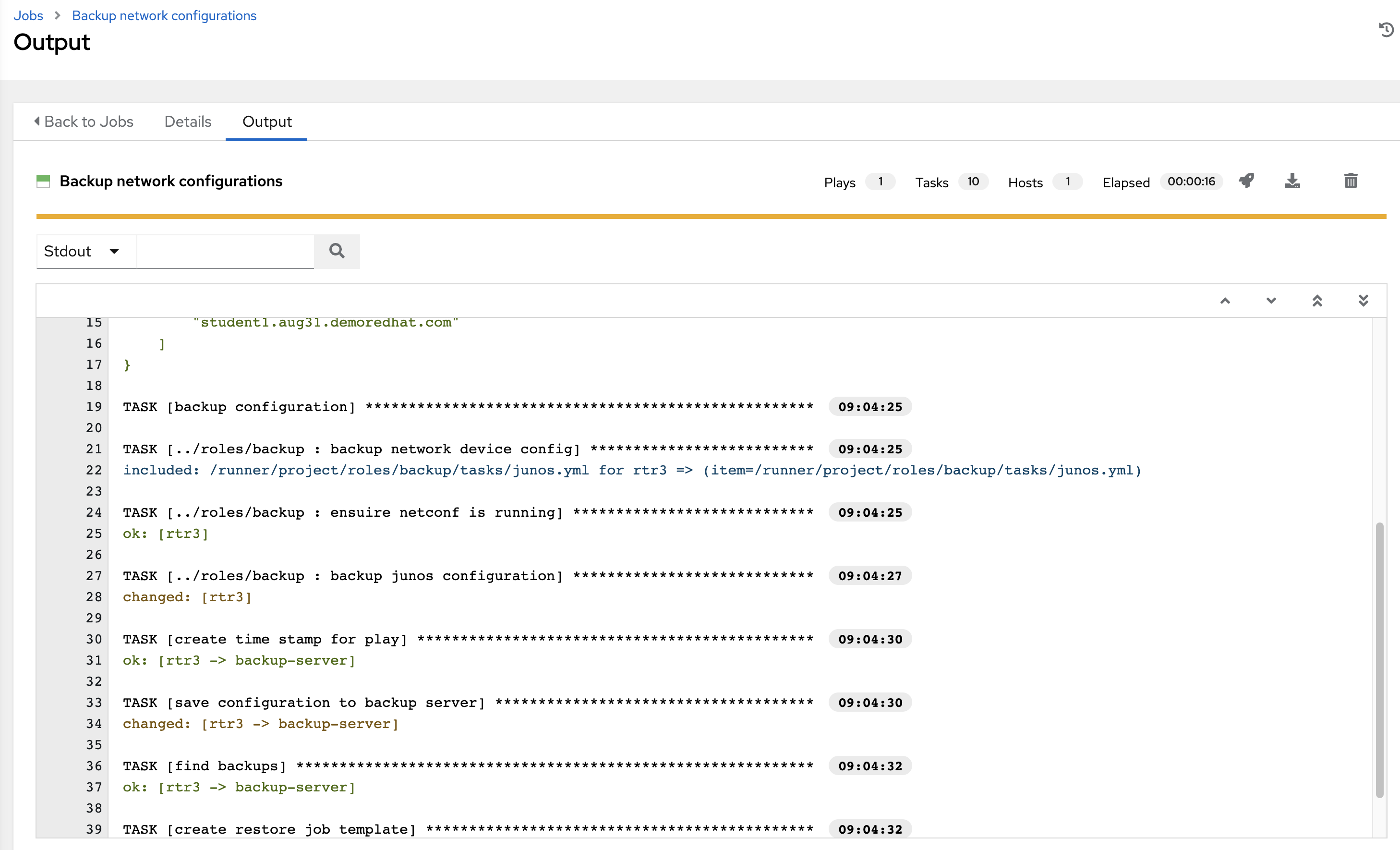 Job details view
