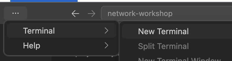 New terminal